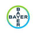 bayer bayer